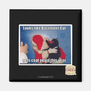 Katzenkatze erhält Kohle Magnet