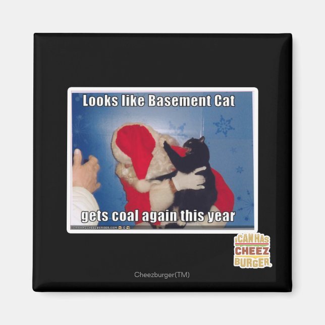 Katzenkatze erhält Kohle Magnet (Vorne)