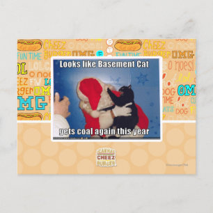 Katzenkatze erhält Kohle Postkarte