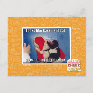 Katzenkatze erhält Kohle Postkarte