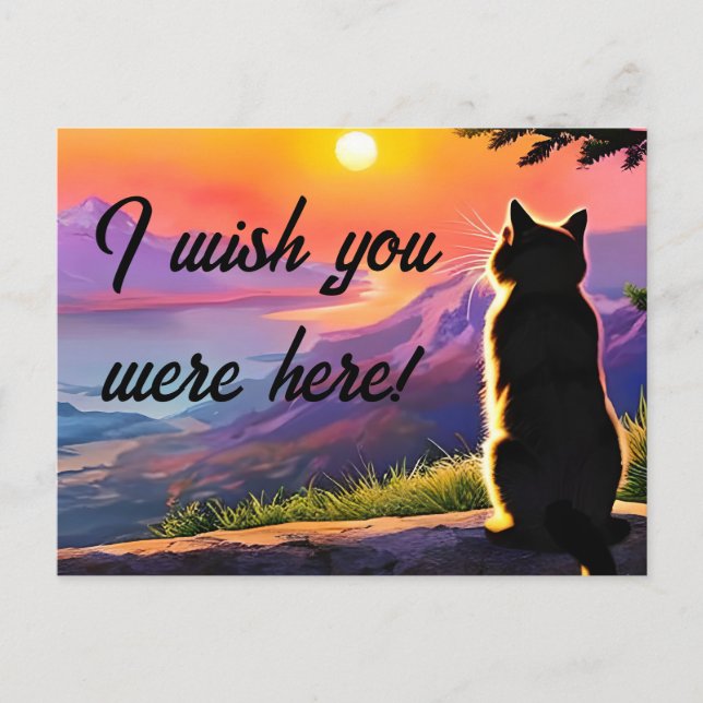 Katzenkatze im Sonnenuntergang Postkarte (Vorderseite)