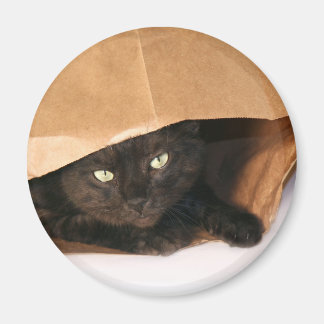 Katzenkatze in einen Beutel-Magneten streichen Magnet