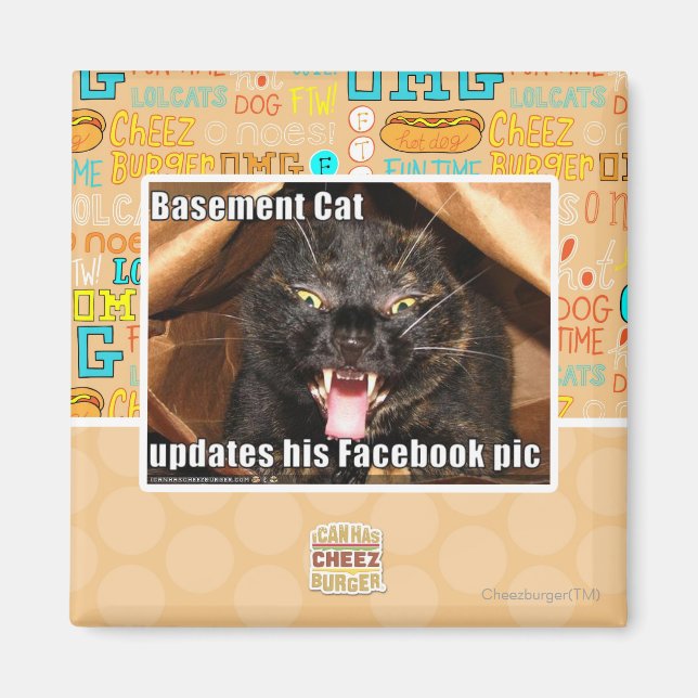 Katzenkatze Magnet (Vorne)