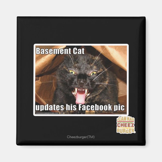 Katzenkatze Magnet (Vorne)