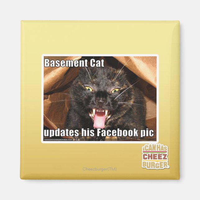 Katzenkatze Magnet (Vorne)