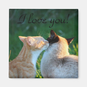 Katzenkatzenliebhaber Magnet