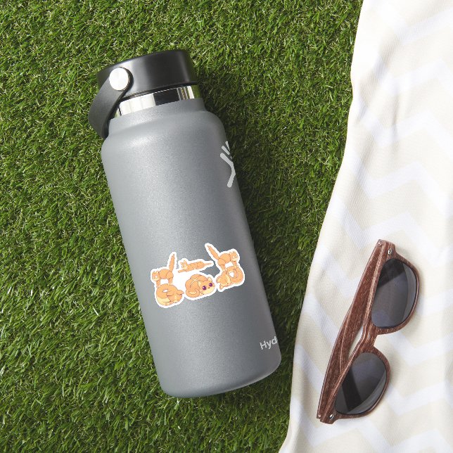 Katzenkekse Aufkleber (HydroFlask Insitu)