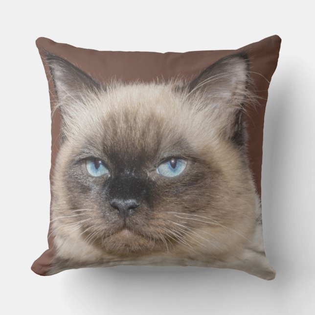 Katzenkissen Kissen (Vorderseite)