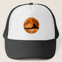 Katzenklatsche auf Sonnenuntergang