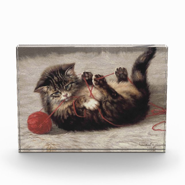 Katzenklatsche, eine Katze, die Galle aus dem Garn Fotoblock (Vorderseite)