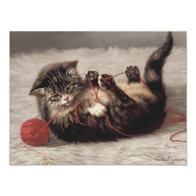Katzenklatsche, eine Katze, die Galle aus dem Garn Fotodruck (Vorne)