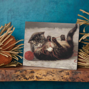 Katzenklatsche, eine Katze, die Galle aus dem Garn Fotoplatte