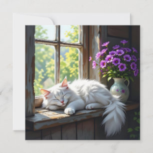 Katzenklatschen auf der Fensterfläche   Leer Karte