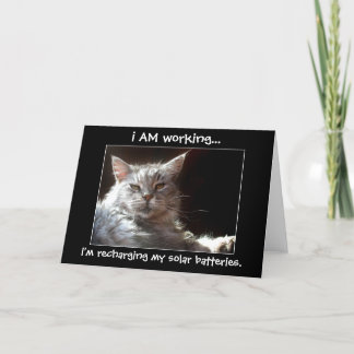 Katzenklatschen in Sonnenschein oder Grußkarte Karte