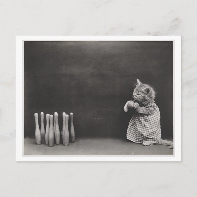 Katzenkleidung und Bowling Vintage Schwerfälligkei Postkarte (Vorderseite)