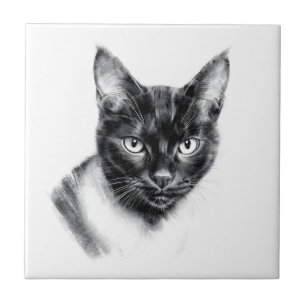 Katzenkohle Fliese