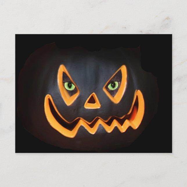 Katzenkürbis Postkarte (Vorderseite)