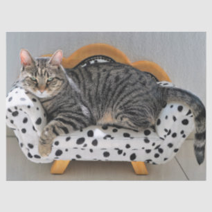 Katzenlederpapier Seidenpapier