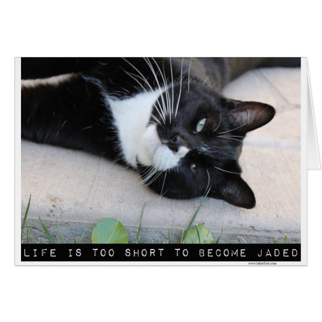 Katzenleere Anmerkung darf nicht durch Jaded Motiv (Vorderseite (Horizontal))