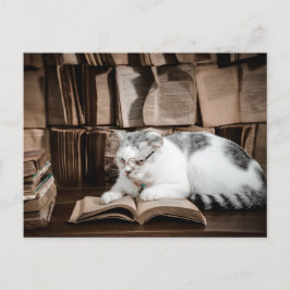 Katzenlesen in Brille Postüberqueren Postkarte