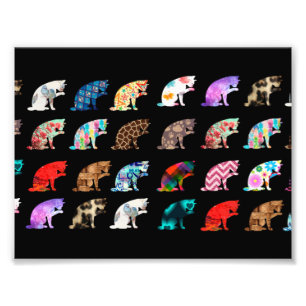 Katzenlickmuster Fotodruck