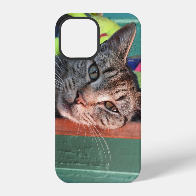 Katzenliebe  iPhone 12 hülle (Rückseite)