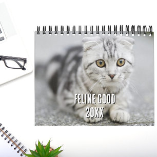Katzenliebhaber-Foto-Collage & Lustige Katzenwitze Kalender