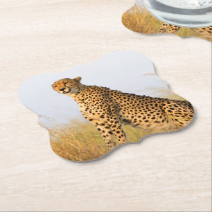 Katzenliebhaber Gepard Foto Untersetzer