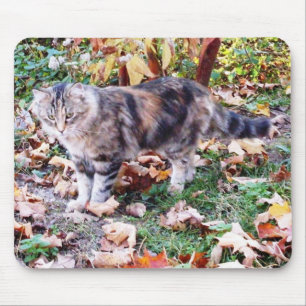 Katzenliebhaber Herbst Katzenfoto Mousepad