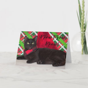 Katzenliebhaber Weihnachtskarte Feiertagskarte