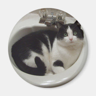 Katzenliebhaberfreude Magnet