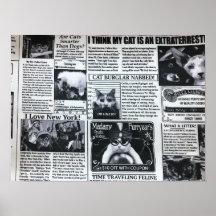 Katzenmagazin