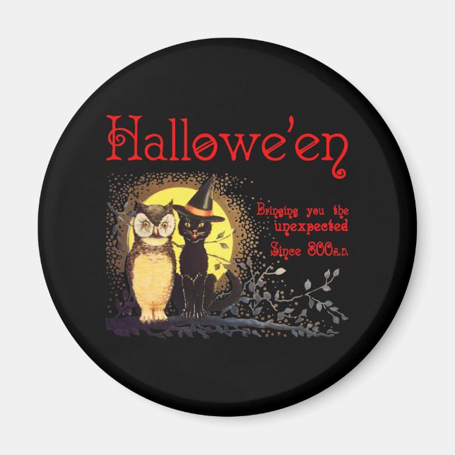 Katzenmagnet Magnet (Vorne)