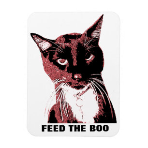 Katzenmagnet Magnet