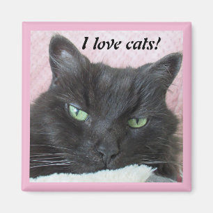 Katzenmagnet Magnet