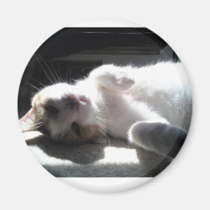 Katzenmagnet Magnet