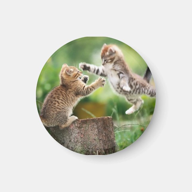 Katzenmagnet Magnet (Vorne)