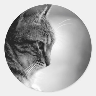 Katzenmeditation Schwarz/Weiß Runder Aufkleber