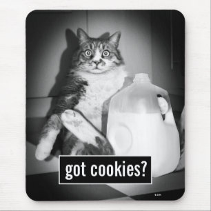 Katzenmilch von Jug Mousepad