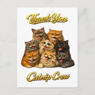 Katzenminze-Crew Niedliche Alberne Tolle Katzen-Ge Postkarte