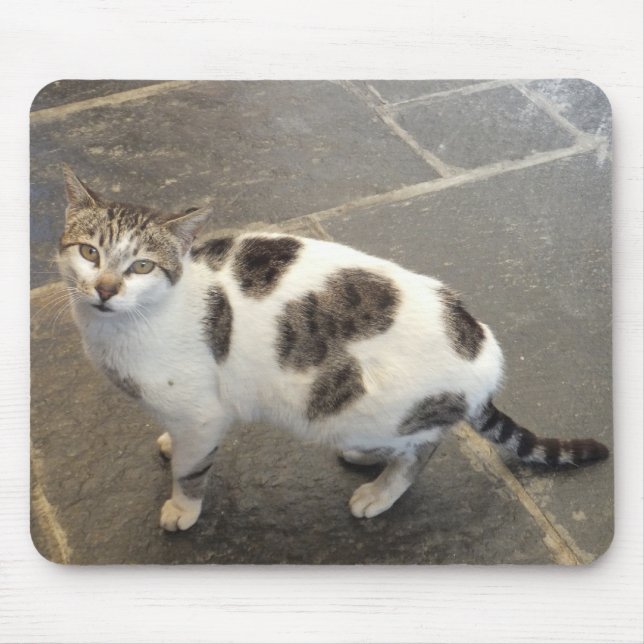 Katzenmousepad Mousepad (Vorne)