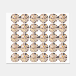 Katzenmuster Etiketten