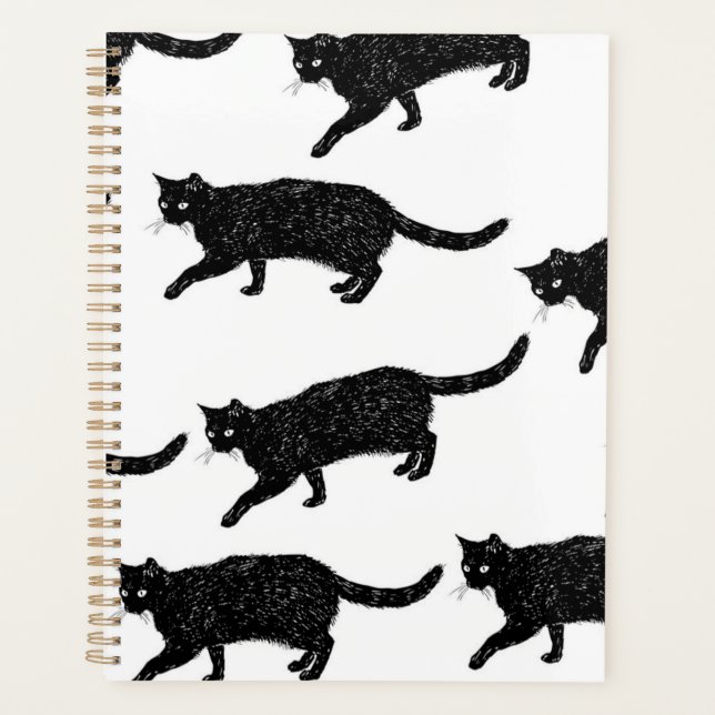 Katzenmuster Planer (Vorderseite)