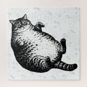 Katzenmutter, ich bin aber nur Haut und Knochen fü