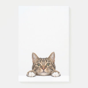 Katzenmutter Post-it Klebezettel