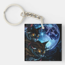 Katzennacht