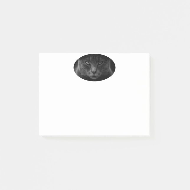 Katzennachweishinweise Post-it Klebezettel (Vorderseite)