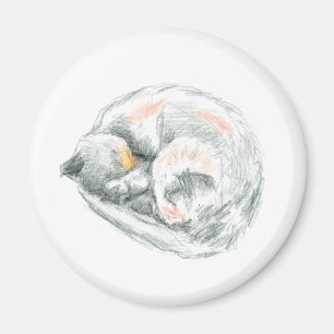 Katzennickerchen Magnet