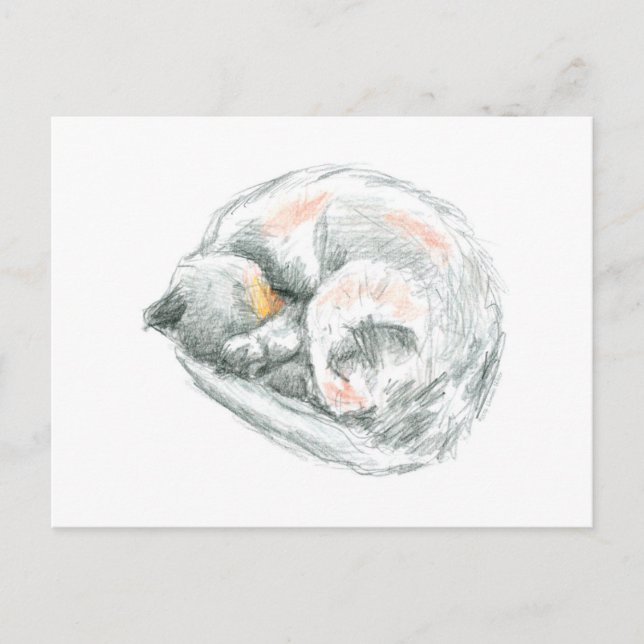 Katzennickerchen Postkarte (Vorderseite)