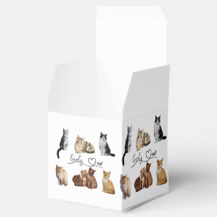 Katzenpaket, Lustiges Katzenpaket Geschenkschachtel